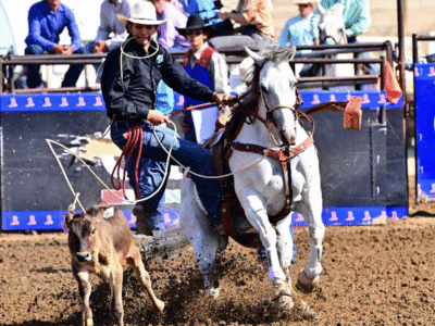 Old Spanish Trail Arena